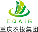 重庆市U8国际集团有限公司